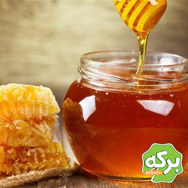 خواص عسل گون؛ خاصیتی که سلامتی شما را بیمه می کند