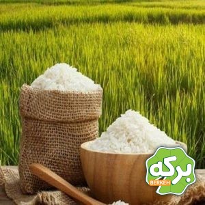 بهترین روش ها برای نگهداری برنج تازه در منزل